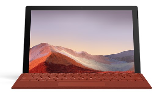 凌河清洁和维护 Surface